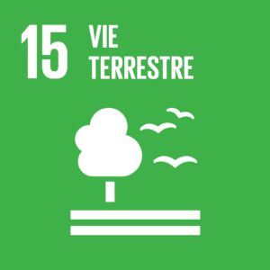 ODD Vie terrestre