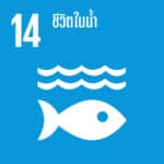SDG 14 Thai